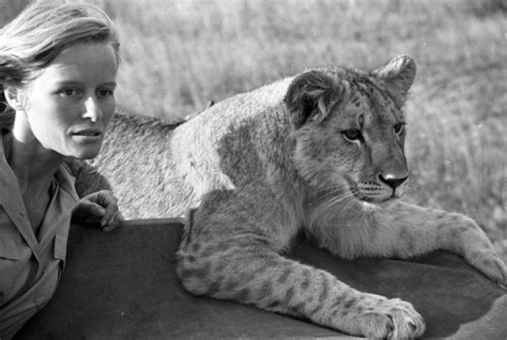 Virginia McKenna photo