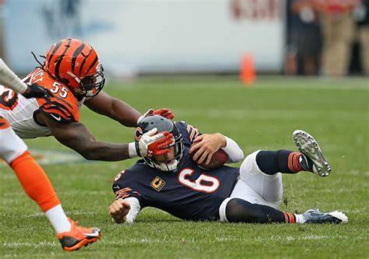 Vontaze Burfict photo 3
