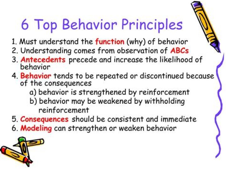 What are the basic principles of behavior?