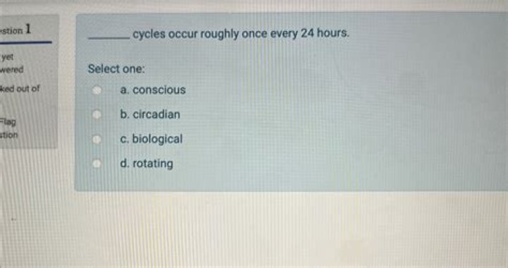 What cycles occur roughly once every 24 hours?