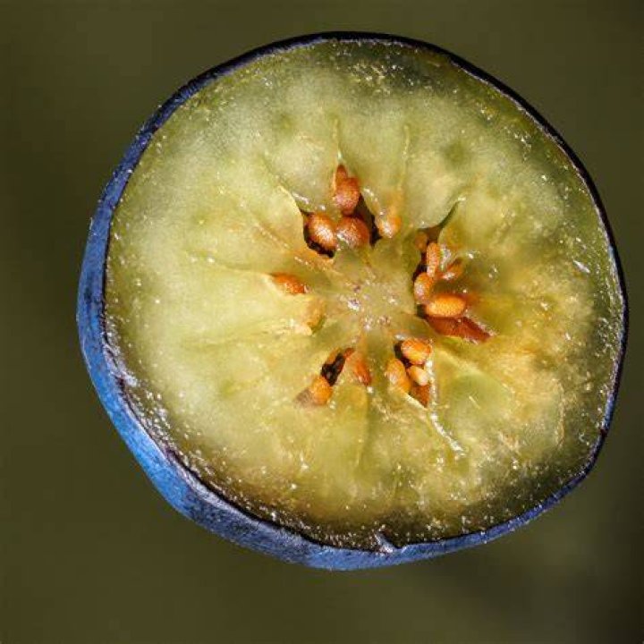 What do blueberries look like on the inside?