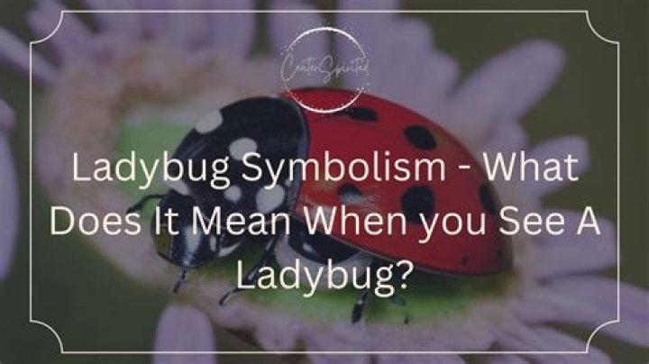 What does it mean when you see a green ladybug?