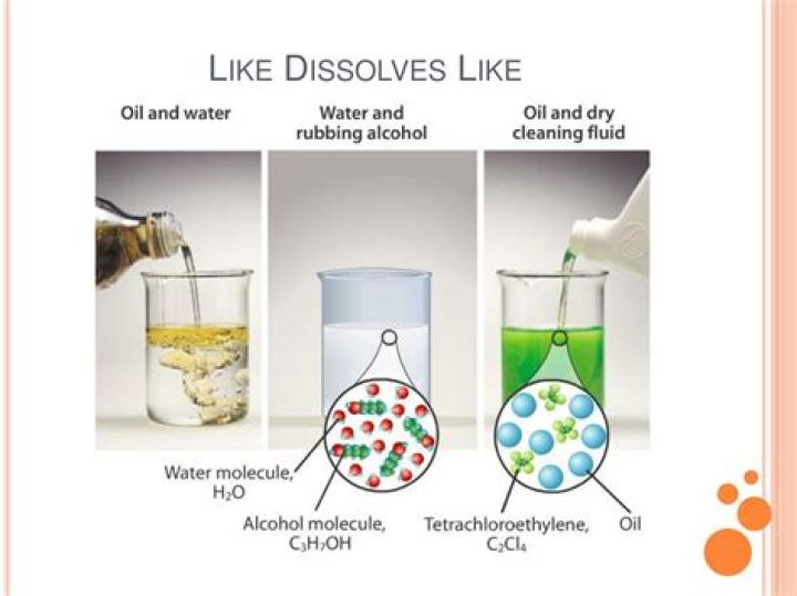 What does like dissolves like mean quizlet?