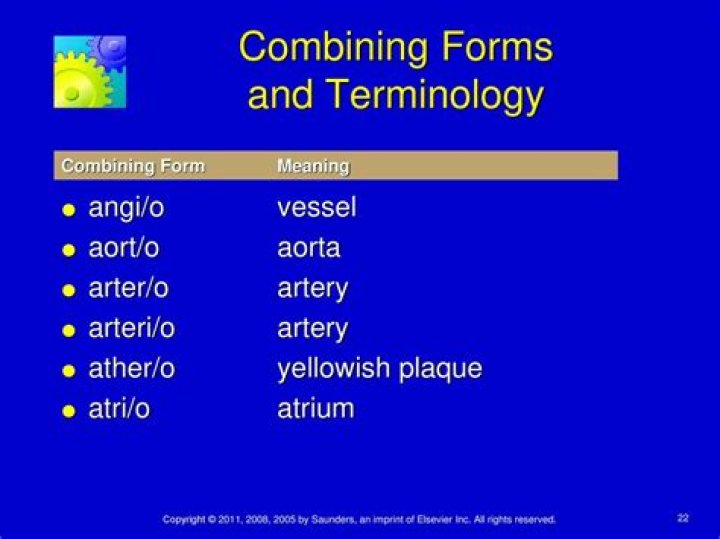 What does the combining form ather o mean?