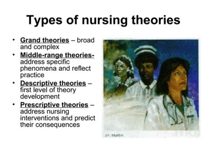 What is a descriptive theory in nursing?