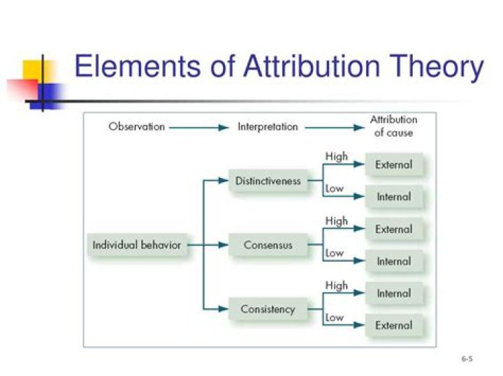 What is attribution theory in organizational behavior?