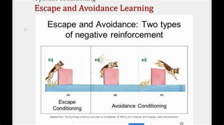 What is escape and avoidance learning?
