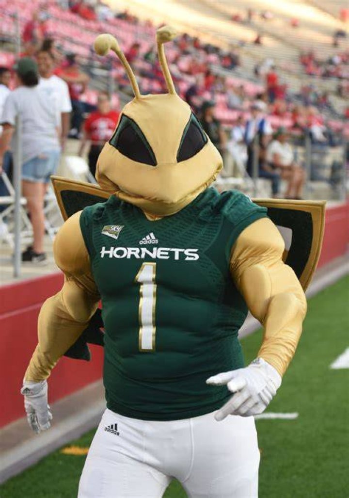 What is Sac State mascot?