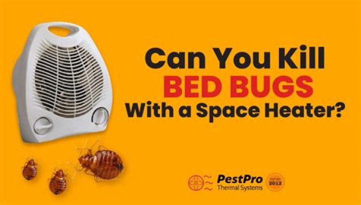 What is the best heater to kill bed bugs?