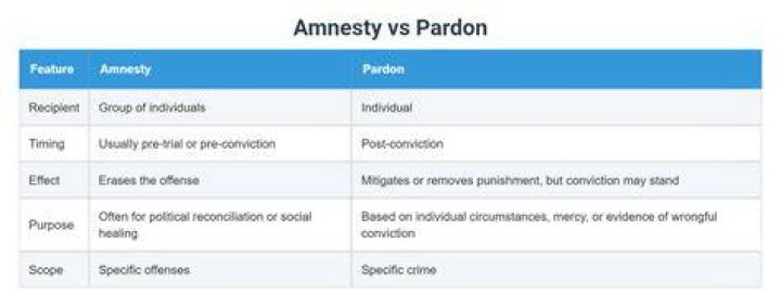 What is the difference between a pardon and amnesty?