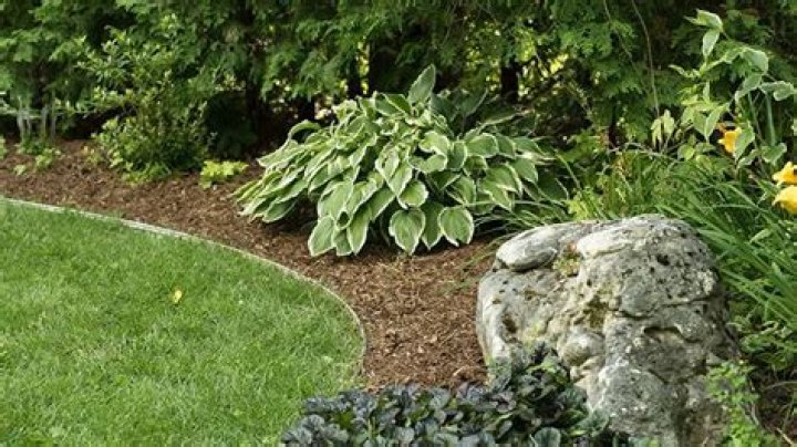 Which mulch holds its color longest?