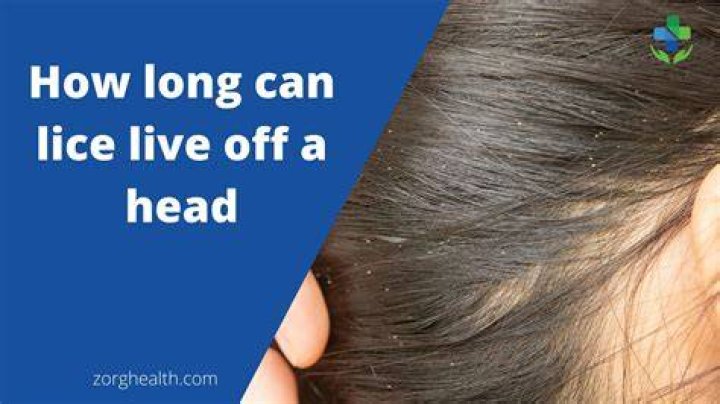 Will bleaching hair kill head lice?