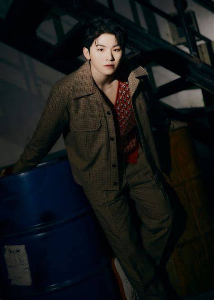 Woozi Bio (Wiki) 